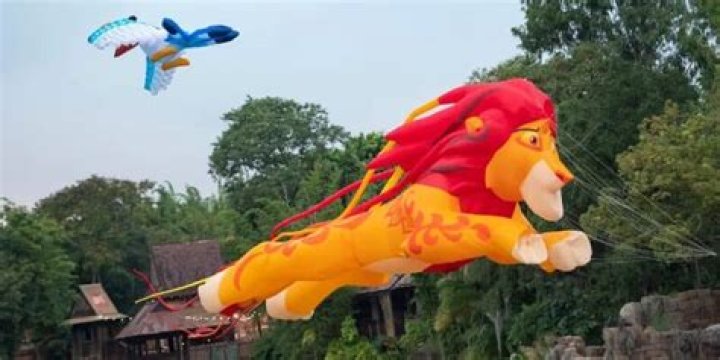KiteTails