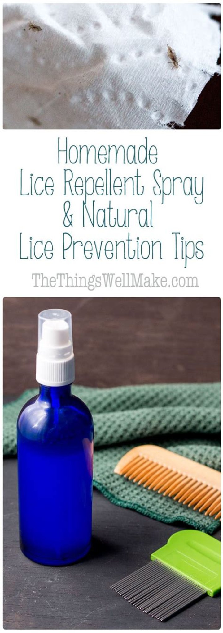 lice spray back-to-school tips