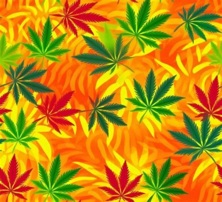 marijuana on yellow background