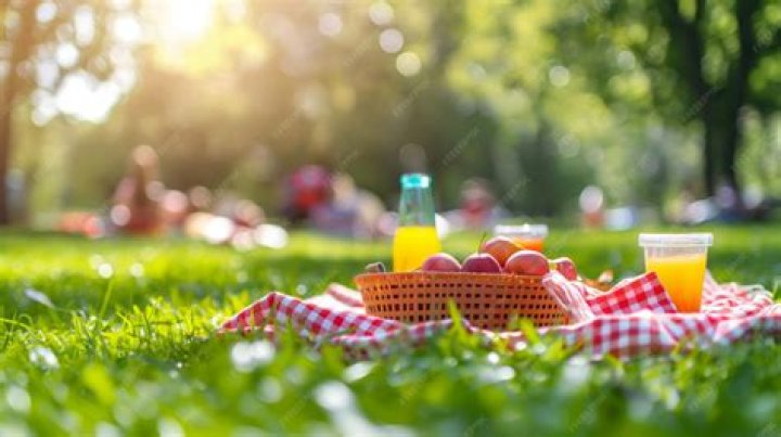 Picnic on lawn