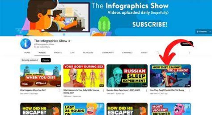 The Infographics Show