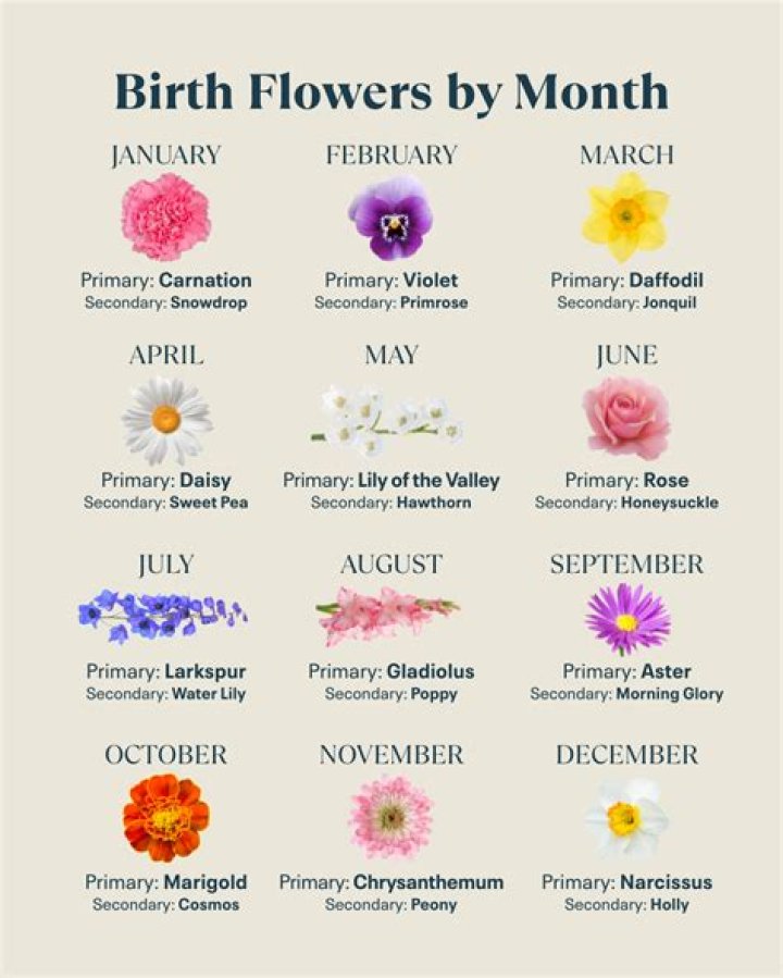 What Your Birth Month Flower Says About Your Personality